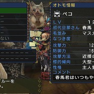 モンスターハンターポータブル 3rd