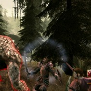 ドラゴンエイジ:オリジンズ