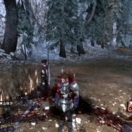 ドラゴンエイジ:オリジンズ