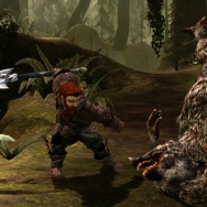 ドラゴンエイジ:オリジンズ