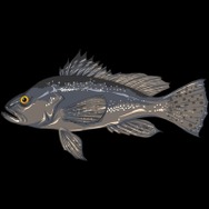 エイチーム、ホラーアドベンチャー『感染孤島』を公開