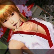 DEAD OR ALIVE Dimensions