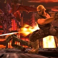 DEAD OR ALIVE Dimensions