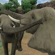 アニマルリゾート 動物園をつくろう!!