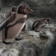 アニマルリゾート 動物園をつくろう!!