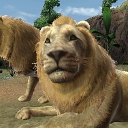 アニマルリゾート 動物園をつくろう!!