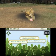 アニマルリゾート 動物園をつくろう!!