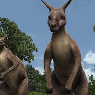 アニマルリゾート 動物園をつくろう!!