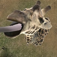アニマルリゾート 動物園をつくろう!!