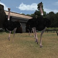 アニマルリゾート 動物園をつくろう!!