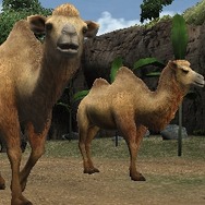 アニマルリゾート 動物園をつくろう!!