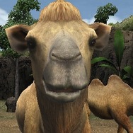 アニマルリゾート 動物園をつくろう!!
