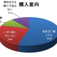 ニンテンドー3DS 発売直前 購入意向調査