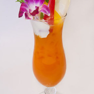 『ルーンファクトリー オーシャンズ』発売を記念し、田村ゆかりさんのボイスメッセージ公開