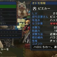 モンスターハンターポータブル 3rd