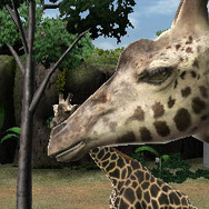 アニマルリゾート 動物園をつくろう!!