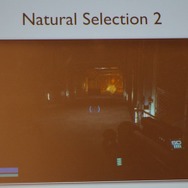【GDC2011】ゲームの完成前に予約で資金集め、前代未聞の取り組みで制作『ナチュラルセレクション2』