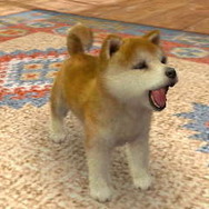 2011年3月8日に掲載した写真