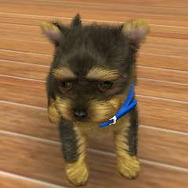 2011年3月8日に掲載した写真