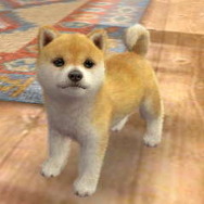 2011年3月8日に掲載した写真