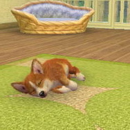 2011年3月8日に掲載した写真