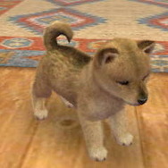 2011年3月8日に掲載した写真