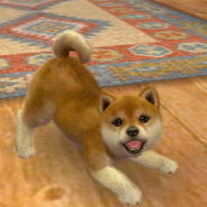 2011年3月8日に掲載した写真
