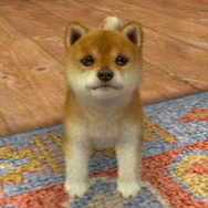 2011年3月8日に掲載した写真