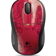 パーフェクトワールド