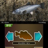 Fish Eyes 3D