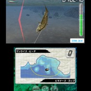Fishing 3D