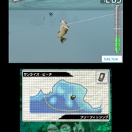 Fishing 3D