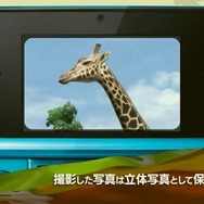 アニマルリゾート 動物園をつくろう!!