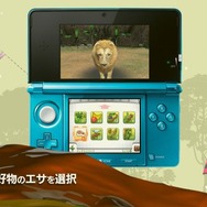 アニマルリゾート 動物園をつくろう!!