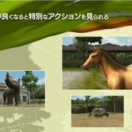 アニマルリゾート 動物園をつくろう!!