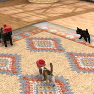 nintendogs + cats