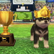 nintendogs + cats