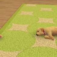 nintendogs + cats