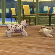 nintendogs + cats