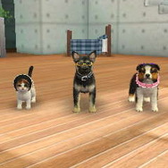 nintendogs + cats