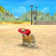 nintendogs + cats