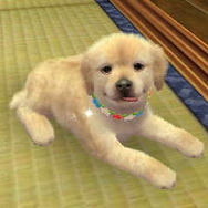 nintendogs + cats
