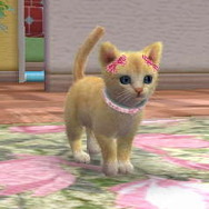 nintendogs + cats