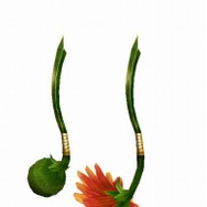 モンスターハンター フロンティア オンライン