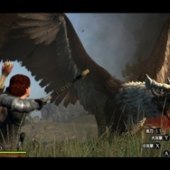 ドラゴンズ ドグマ