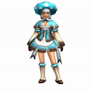 モンスターハンター フロンティア オンライン アニバーサリー2011プレミアムパッケージ
