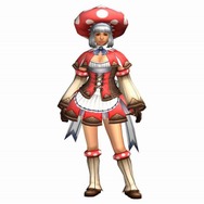モンスターハンター フロンティア オンライン アニバーサリー2011プレミアムパッケージ