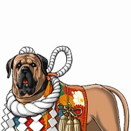 喧嘩番長 全国制覇