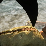 ドラゴンズ ドグマ