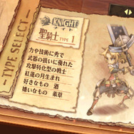 グランナイツヒストリー